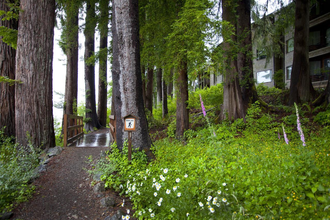 Lake Quinault Lodge Luaran gambar